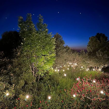 Hotel Glamping San Bart à San Vincenzo Extérieur photo