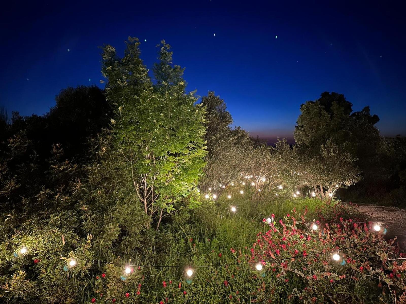 Hotel Glamping San Bart à San Vincenzo Extérieur photo