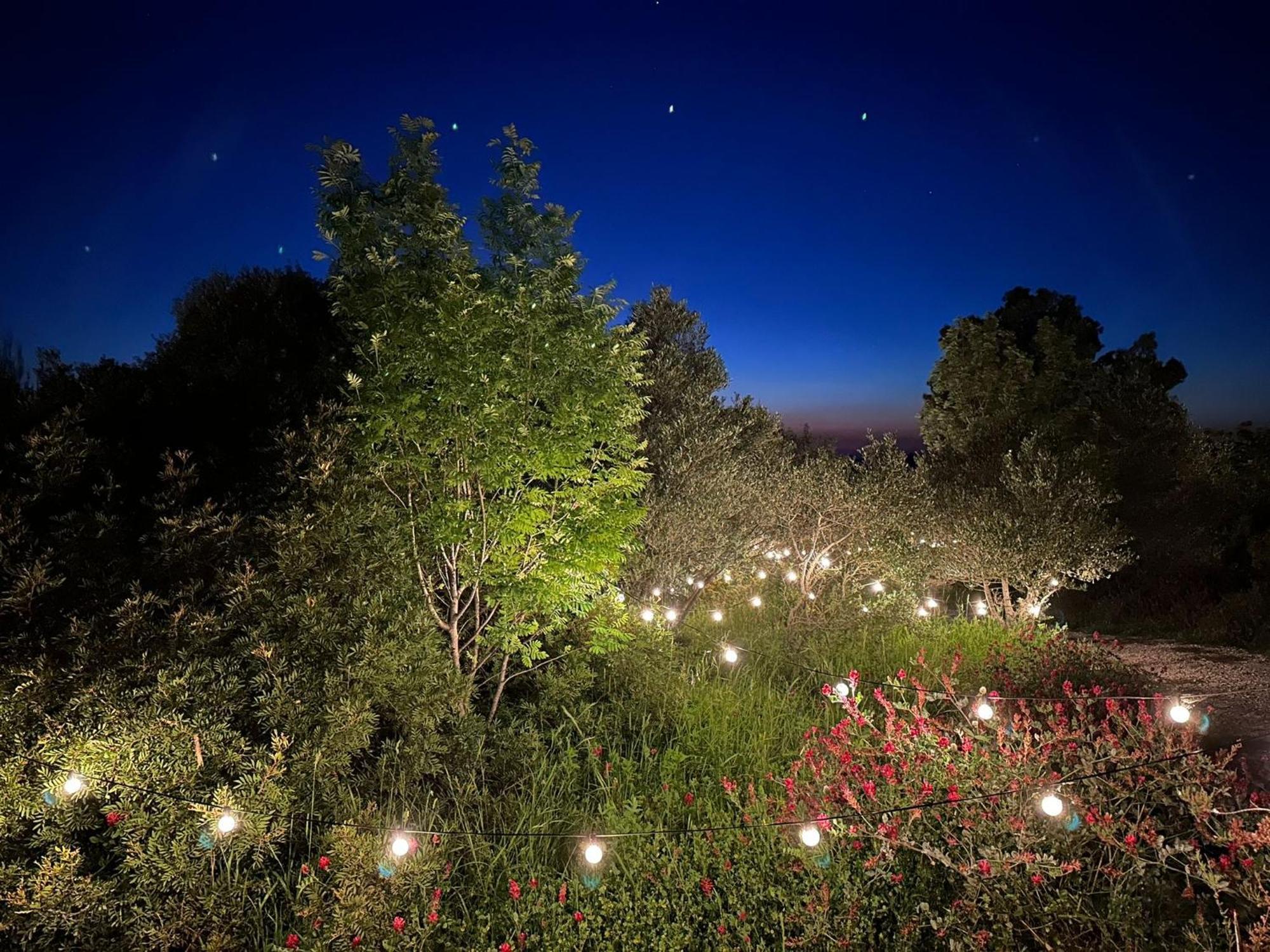 Hotel Glamping San Bart à San Vincenzo Extérieur photo